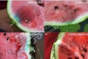 爆料西瓜特效怎么做视频,轻松打造吸睛短视频