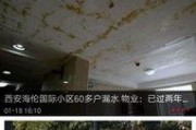 全国最新爆料新闻,揭秘热点事件背后的真相