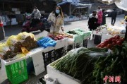 河南菜市场爆料新闻,揭秘菜市场里的惊人秘密